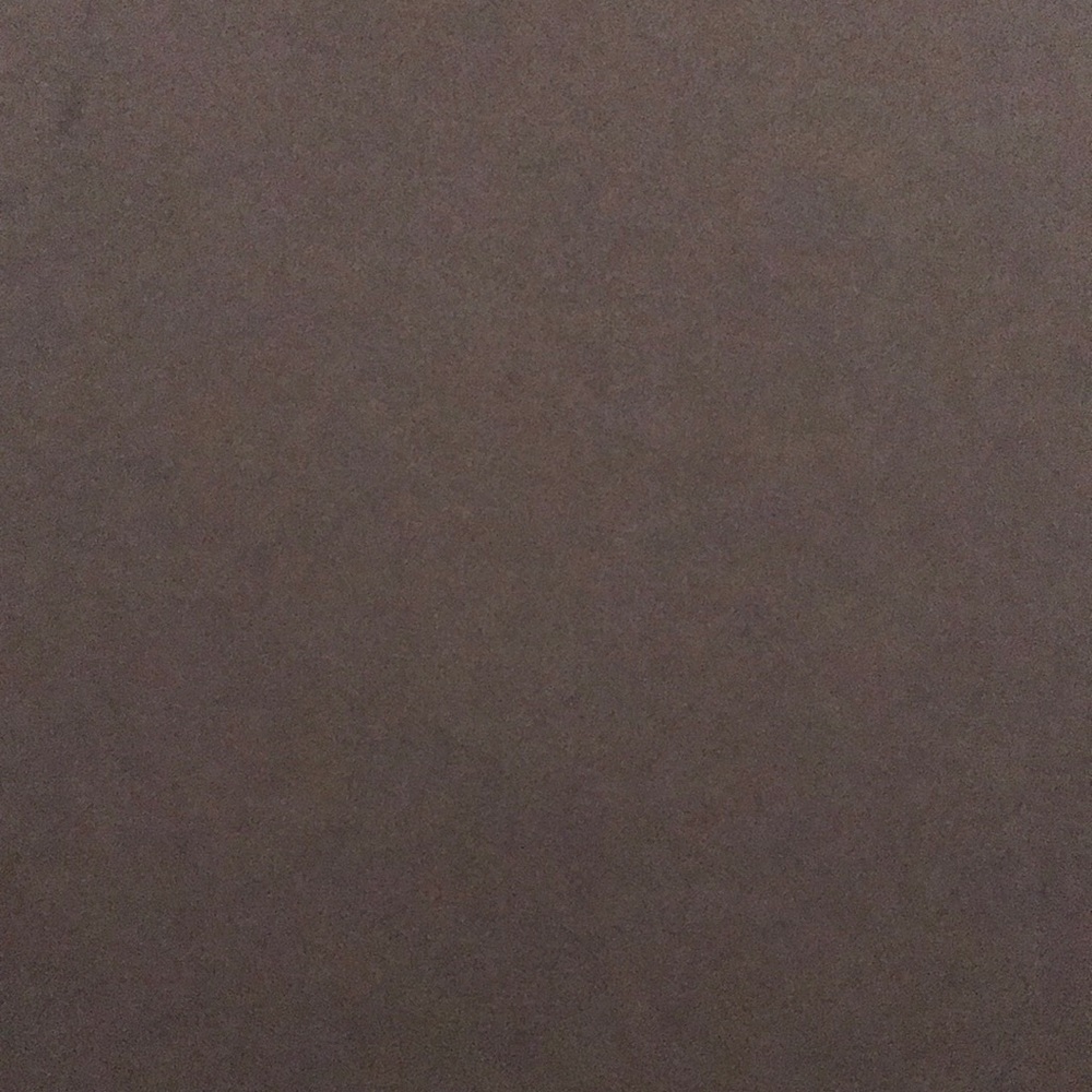 Meet your Posher, Litzy